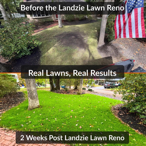 Comparison of lawn before and after renovation with lush green grass, two weeks post-renovation, featuring a vibrant outdoor space.