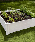 White Vinyl Raised Garden Bed 4 Ft By 4 Ft By 11 In Deep, Modular PVC Construction, BPA And Phthalate Free, Maintenance Free, planted with vegetables
