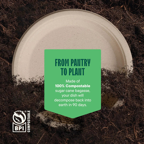 Heavy Duty 9 Inch Compostable Paper Plates 125 Pack Made From Sugarcane Bagasse Biodegradable Unbleached Brown Dinner Plates For Parties Eco Friendly And Strong Disposable Dishware with soil background and compost info in center