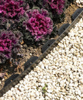 Two Pack 1.5 Inch Garden Edging Border 100 Ft Total Length Plastic Landscaping Edge With 120 Spikes separating mulch and gravel