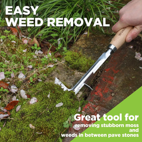 Heavy Duty 12 Inch Crack Weeder With L Shaped Stainless Steel Blade For Jammed Paving Gaps And Concrete Cracks in use on moss beside paving.