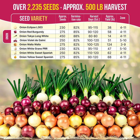 Indoors Or Outdoors Onion Seed Variety Pack Heirloom Non GMO Eight Varieties With 2200 Seeds Including Walla Walla Green Onion