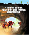 Ant Farm Kit For Kids And Curious Learners Complete Colony Setup With Sand Habitat And Living Ants Voucher Included Educational Bug Terrarium Gift For Boys Girls And Adults Hands On Nature Learning Toy showing ants in a tunnel
