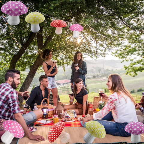 Picnic with Totally Adorable Mushroom Shaped Paper Lanterns Set For Indoor And Outdoor Parties, Forest Jungle Wonderland Theme