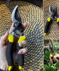 Close-up of Pro Grade Pruning Shears For Gardening With Non Slip Ergonomic Handles And Blade Cover Sharp Garden Clippers