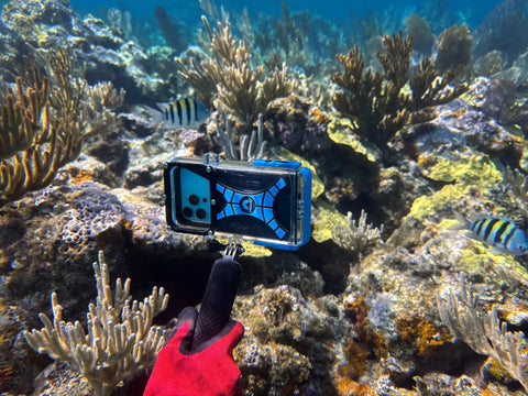 Dive 2.0 Waterproof iPhone Housing Delivers 130 Feet Depth Ultra Tough Underwater Case with GoPro Mounts in coral reef