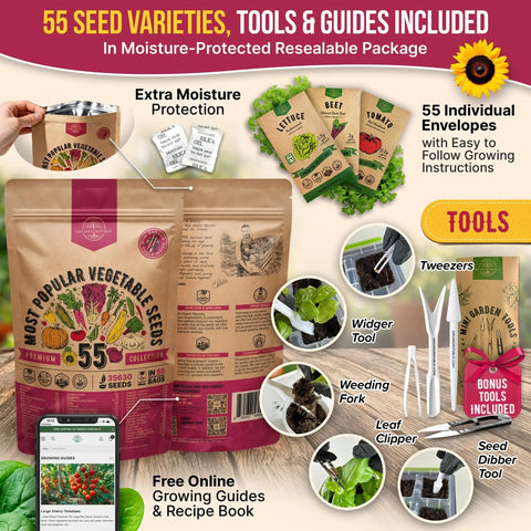 55 Vegetable Seeds Variety Pack Non GMO Heirloom Seeds For Your Home Garden Indoors And Outdoors Hydroponic Ready 35,600 Plus Seeds In Individual Packets with gardening tools and instructions.