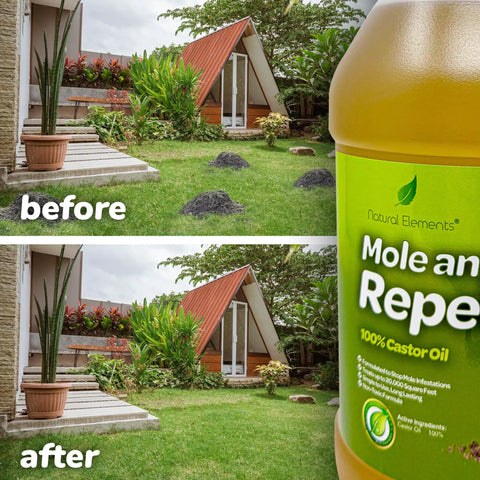 Before and after using Mole And Vole Repellent With 100 Percent Castor Oil Formula For A Healthy Lawn And Yard, 128 oz Gallon.