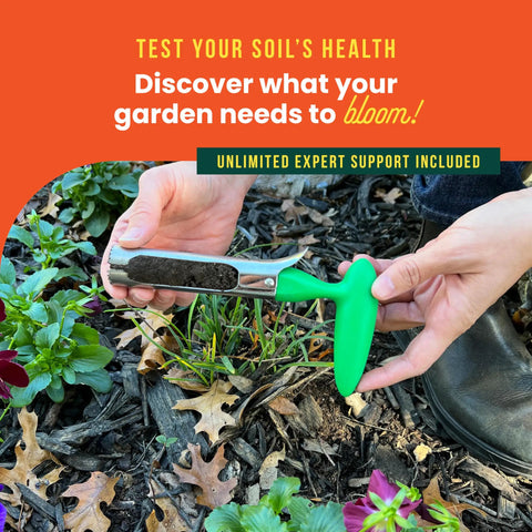 Garden Soil Test Kit To Tailor Your Care Plan By Testing pH And Macronutrients And Micronutrients With Results In Three To Four Weeks