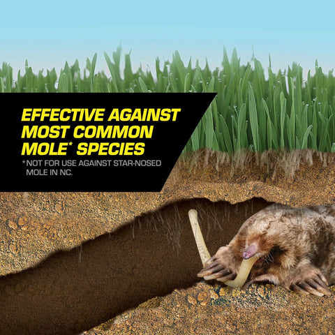 Mole in grass with Mole Killer Worm Baits For Lawns And Yards, Mimics Mole Food To Kill With One Feeding sign, showing setup.