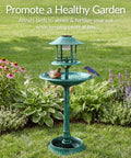 Solar Outdoor Bird Bath With Resin Pedestal Fountain In Green Yard Garden Decor 0.8 Gallon Basin Planter Base Feeder And Fillable Stand