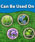 Sluggo Snail And Slug Killer Bundled With Measuring Spoon For Organic Gardening OMRI Listed Wildlife Friendly Pet Safe 1 Pound Can use on lawns, berries, ornamentals, and vegetables