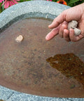 Applying Organic Mosquito Dunk Larvicide to a bird bath with a hand holding the disc near water.