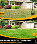 Before and after lawn with Manual Lawn Aerator With 4 Core Plugs And Hollow Tine Design For Compact Soils Heavy Duty Core Aerator Tool 36"