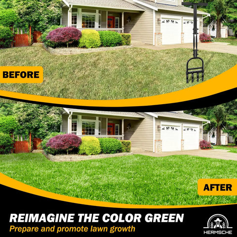 Before and after lawn with Manual Lawn Aerator With 4 Core Plugs And Hollow Tine Design For Compact Soils Heavy Duty Core Aerator Tool 36"