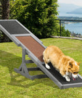 Corgi on 71 Inch Outdoor Dog Agility Seesaw for Training and Exercise, Wooden Platform Obstacle Course Toy for Backyard Fun