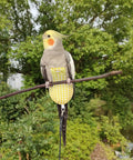 Bird Diaper Harness Flight Suit With 80 Inch Flying Leash For Parrots And Small Birds Includes A Cotton Pad S Size Yellow Checks Ideal