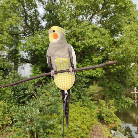 Bird Diaper Harness Flight Suit With 80 Inch Flying Leash For Parrots And Small Birds Includes A Cotton Pad S Size Yellow Checks Ideal