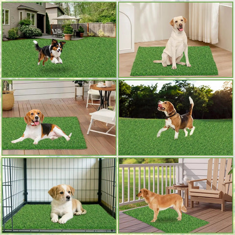Two Pack 30X20 Inch Dog Potty Grass Training Turf Mats With Drainage Holes, Washable Artificial Grass Rug in various settings