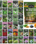Dope Herbal Medicine Seed Pack With 36 Heirloom Non GMO Healing Herbs For Quick Planting, Wellness And Apothecary Kit.