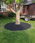 Tree surrounded by mulch and terrace board secured with 40 Pack Landscape Anchoring Stakes 10 Inch Garden Stakes for outdoor stability.