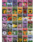 36 Pack Flower Seeds Garden Kit With Heirloom Non GMO Seed Starter Pack Varieties for Planting Annual and Perennial Flowers