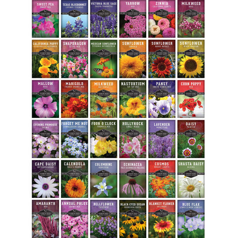 36 Pack Flower Seeds Garden Kit With Heirloom Non GMO Seed Starter Pack Varieties for Planting Annual and Perennial Flowers