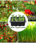Six Pack Seed Starter Tray Kit With Humidity Dome And Base shown with outdoor garden plants and vegetables