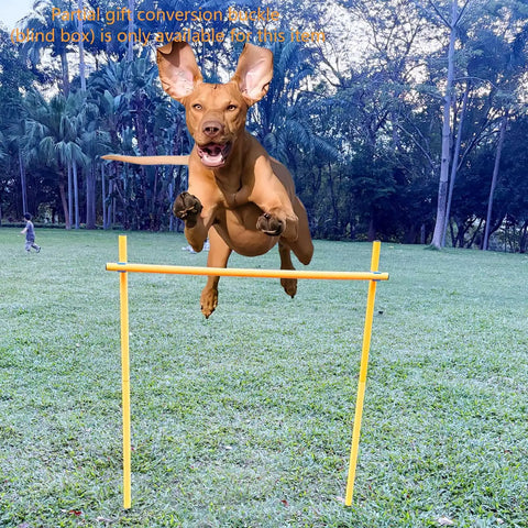 Dog Agility Training Set With Six Weave Poles And Adjustable Jump Bar Outdoor Obstacle Course, dog jumping over yellow bar