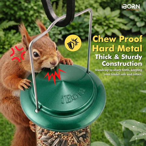 Squirrel attempting to chew a Six Port Metal Bird Feeder With Heavy Duty All Metal Construction 15 Inch Hanging Seed Feeder