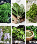 Herb Seed Variety Pack for Indoor or Outdoor Gardens, 12 Culinary Herb Seeds Like Basil, Cilantro, Parsley shown in photo.