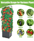 Two Pack Raised Garden Bed Planter Box With Trellis For 44 Inch Tomato Trellis And Climbing Plants highlighting versatility for vegetables
