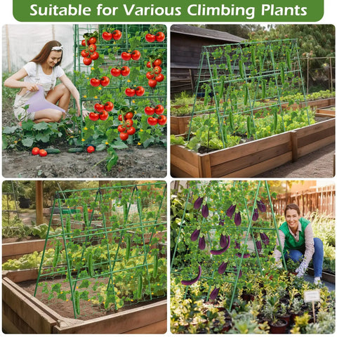 Yard-Ready Adjustable A-Frame Garden Trellis For Cucumbers And Other Climbing Plants, 45 By 53 Inch, in use in a garden with tomatoes and eggplants.