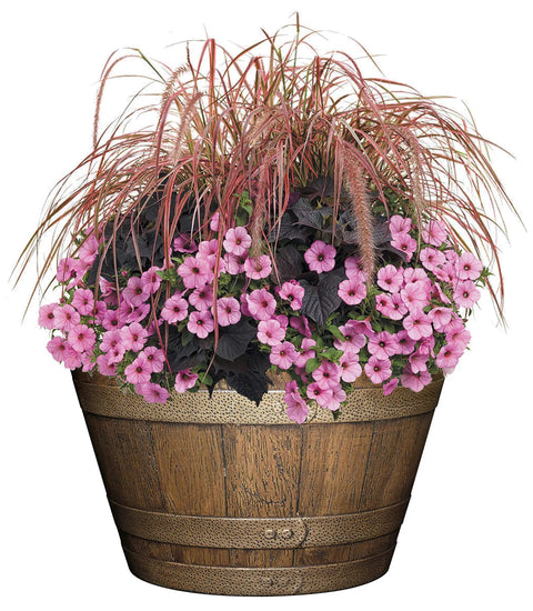 Whiskey Barrel Planter With Distressed Oak Finish And Antique Pewter Bands Yard Ready Durable UV Coated Resin Outdoor Drainage Holes Large Top Diameter 20.5 Inches Height 12.5 Inches Bottom Diameter 14 Inches filled with pink flowers and ornamental grass.