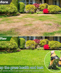 Before and after lawn images with person using Durable Lawn Aerator Shoes With 3mm Metal Base And Bend Resistant Spikes.