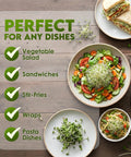 Plates of salads, sandwiches, and pasta with Alfalfa Sprouting Seeds Non GMO Organic For Quick No Fuss Easy Homegrown Sprouts