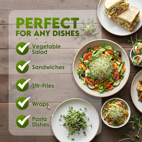 Plates of salads, sandwiches, and pasta with Alfalfa Sprouting Seeds Non GMO Organic For Quick No Fuss Easy Homegrown Sprouts