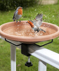 Deck Mounted Bird Bath Bowl For Balcony Railings 12 Inch Unheated Outdoor Bird Bath With Fence Clamp, two birds bathing
