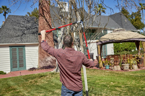 Man using Extendable Handles Compound Action Bypass Lopper For Thick Branches Up To One And A Half Inches in garden