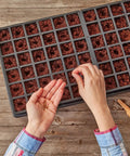 Hands planting seeds in Self Watering Seed Starter Kit With 72 Cells Two Trays Stands Dome Water Reservoir And Pellets for indoor gardening.