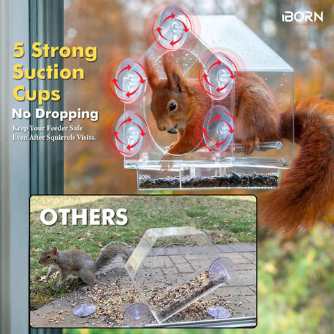2026 Window Bird Feeder With Windproof Tray Lock, Chewproof PC Build, Strong Suction Cups with squirrel on feeder