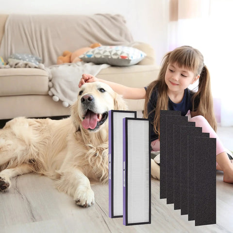 Pet Dander, Hair and Odor Filter C for GermGuardian Air Purifier shown with dog and child on living room floor