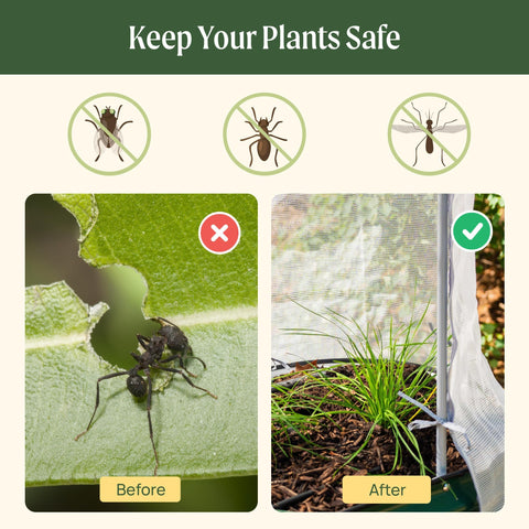 Garden Cover Netting System 2x8 Beds Before and After Pest Control 35 Percent Shade Frame Durable Plant Protection
