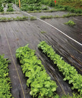 Heavy Duty Weed Barrier Fabric 3.2 Oz 6 X 300 Feet Roll For Greenhouse Floors Garden Rows Raised Beds Yard Gardening And Outdoor Landscape Protection Durable installed in garden rows