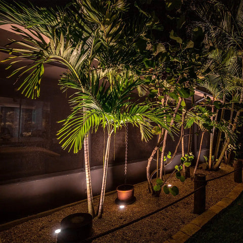 Lit Low Voltage Well Lights 4W LED Outdoor Landscape Lighting 12V In Ground Well Light illuminating palm trees at night.