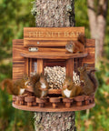 Crescent Wooden Squirrel Feeder Table For Outdoor Use Picnic Table Style Seed Tray With Transparent Sides Sturdy Structure And Stable Stool Bars For Multiple Squirrels To Gather Snack And Watch The Action on a tree