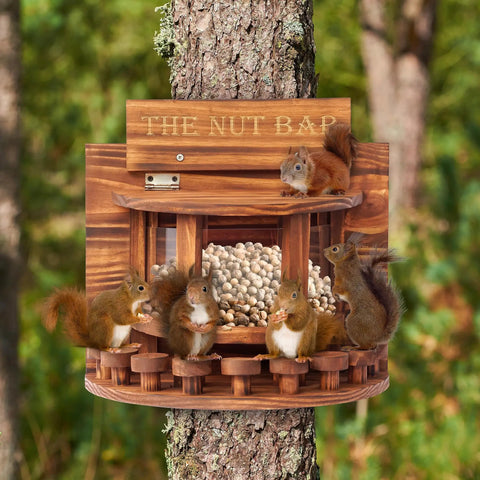 Crescent Wooden Squirrel Feeder Table For Outdoor Use Picnic Table Style Seed Tray With Transparent Sides Sturdy Structure And Stable Stool Bars For Multiple Squirrels To Gather Snack And Watch The Action on a tree