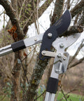 Double Ratcheting Bypass Loppers For Beefy Tree Trimming cutting thick branch with extendable handles and rubber grips in use