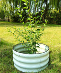 Three Piece Round Galvanized Raised Garden Bed Kit Each 2x2x1 Ft Outdoor Metal Planter Box For Vegetables And Flowers Rust Resistant