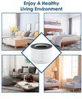 Collage of home interiors with Four Pack 3 In 1 True HEPA Replacement Filters For Your hOmeLabs Home Compact.